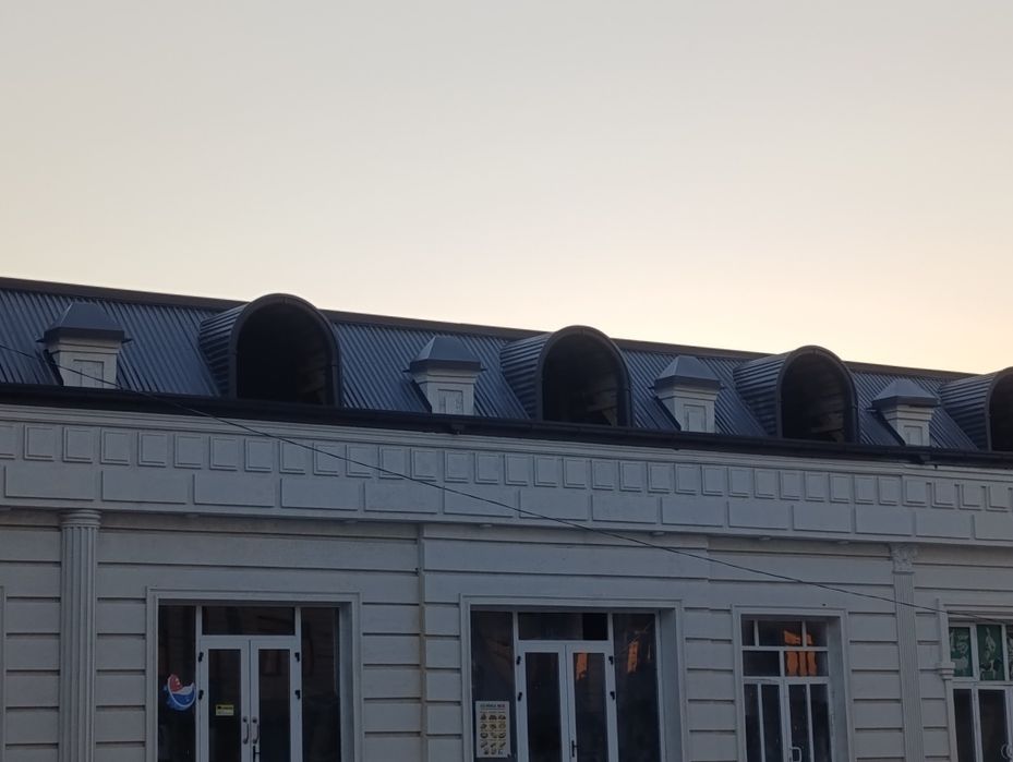 Master krisha mansard