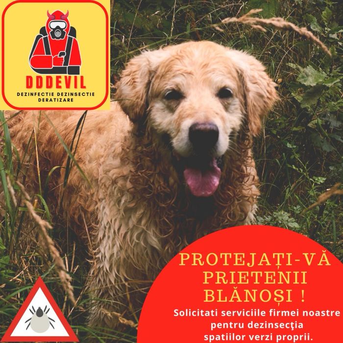 DDDEVIL Dezinsectie Dezinfectie Deratizare DDD