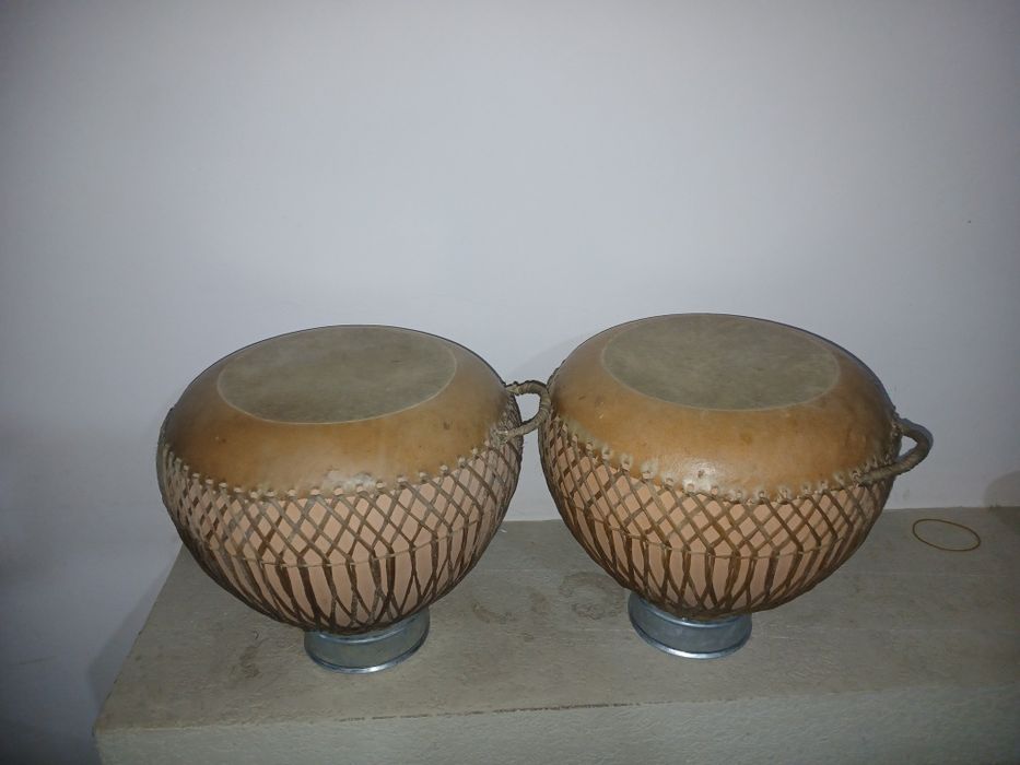 Musical asbob nogora