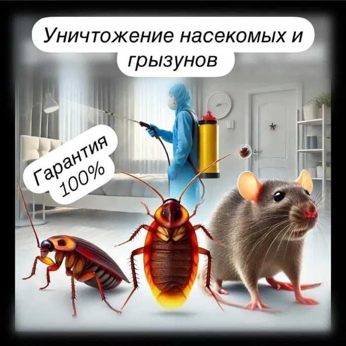 Уничтожение насекомых Дезинфекция