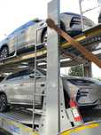 Byd champion smart
