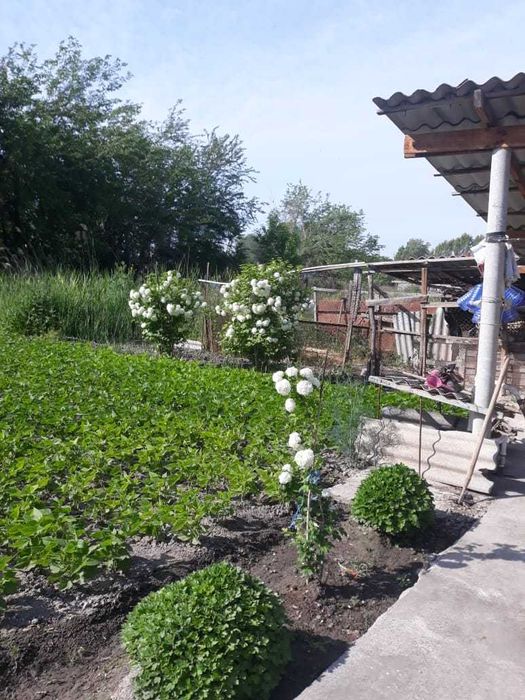 дом 150 кв.м. с участком 19 соток. Ташкентская область пос. Янги Хает