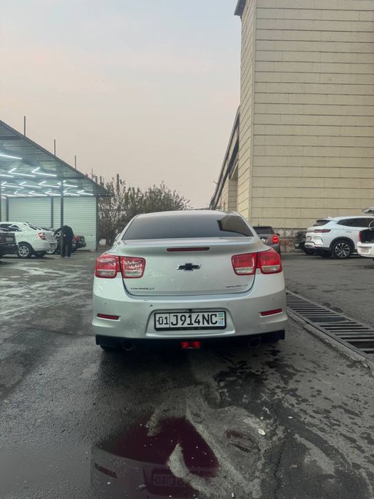 Малибу 1 2 позится