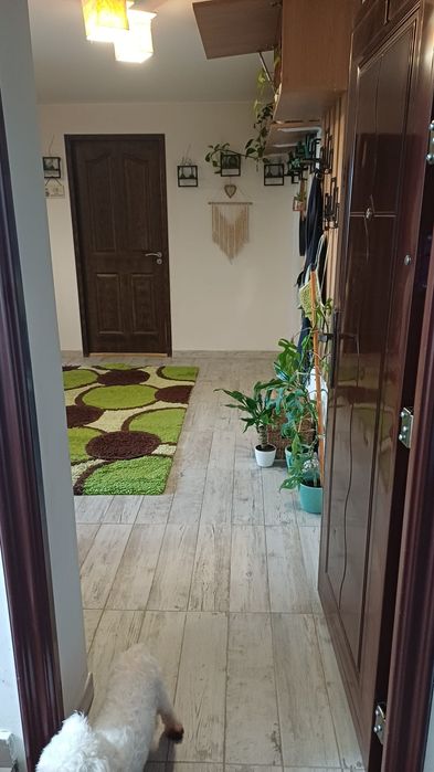 Apartament 3 camere
