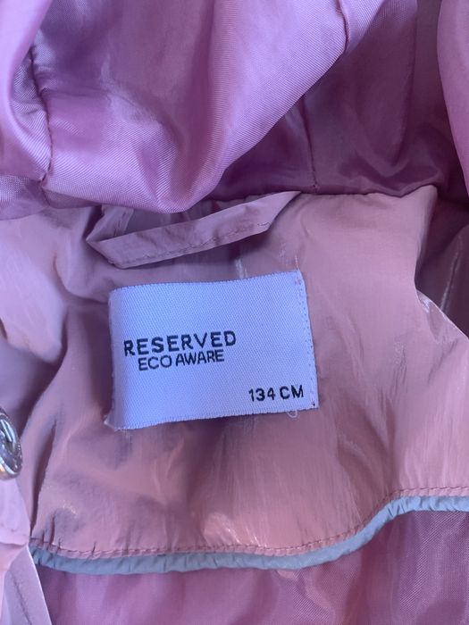 Geci fetite diverse marimi