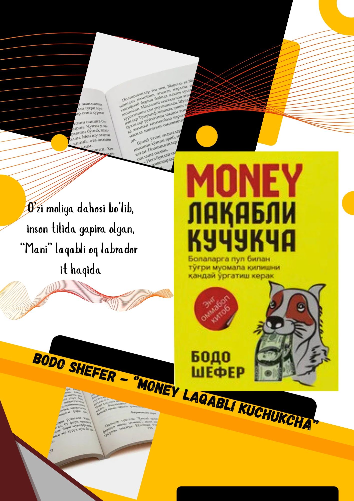 "MONEY" Laqabli kuchukcha