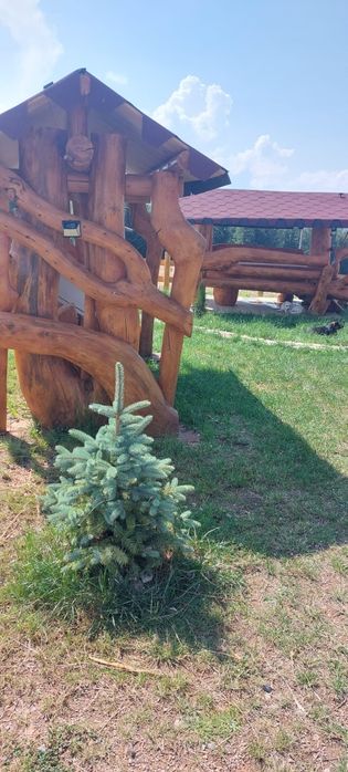 Inchiriere cabane
