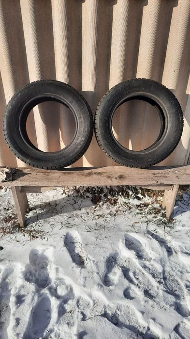 Зимние шины Triangle