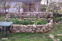 Schimb / vand casă în Corbu 60m / 964 m – O adevărată grădină botanică