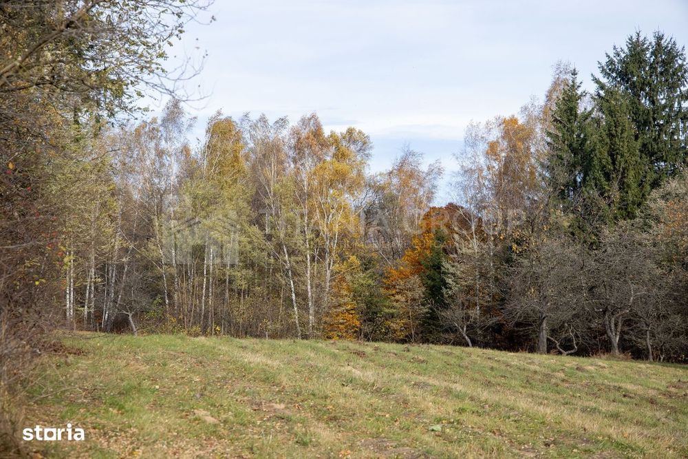 Teren intravilan, cu PUZ, Bran Tohanita,  SE ACCEPTĂ ȘI SCHIMB