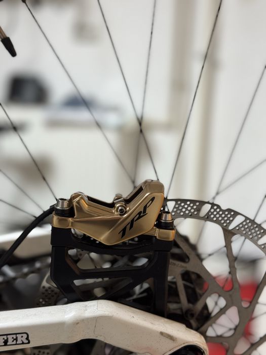 Frâne Trp dhr evo gold