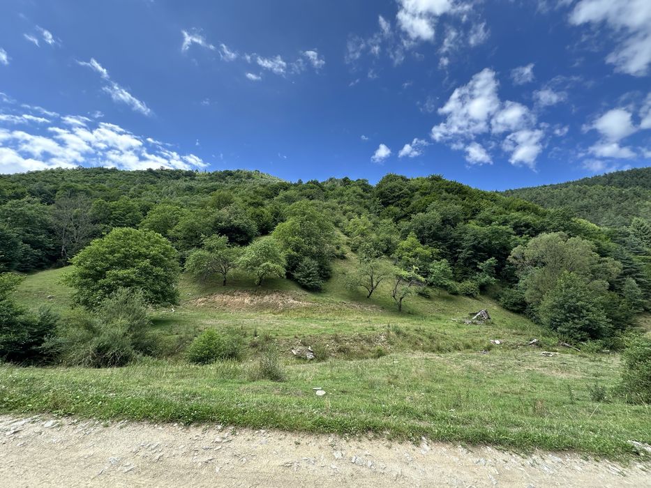 Vand 8534 mp teren in Rasinari Valea Stezii  (Valea Strambului)