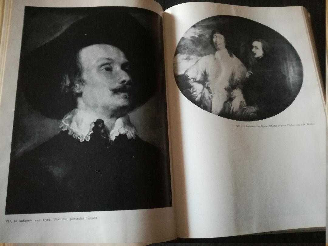 Vand Colectia "curente si sinteze", Istoria artei, H.Van Loon