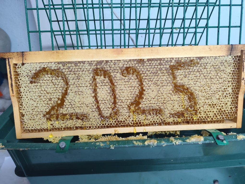 Продавам пчелен мед букет 2025