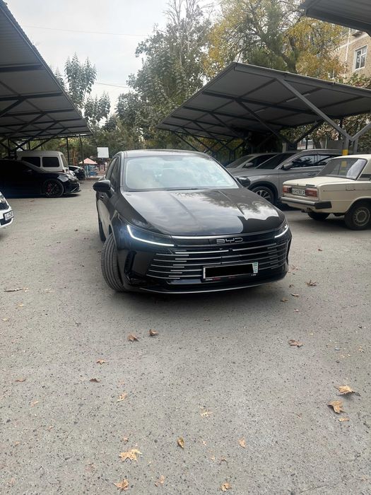 BYD Chazor Active 55km 1245km запас хода