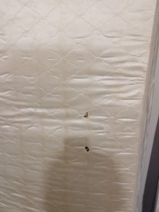 Отдам даром матросы бу размер 190/80.