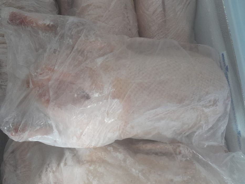 Продам мясо гуся