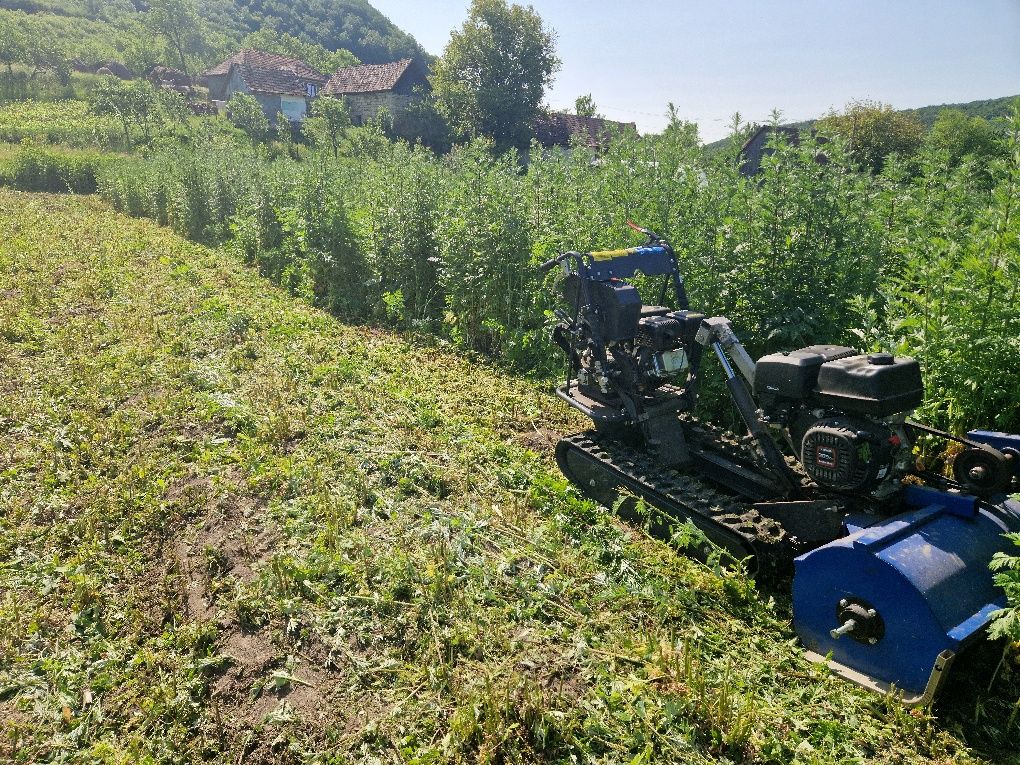 Toaletare/defrisare teren, pajiști, pășuni, spini, livezi napadite