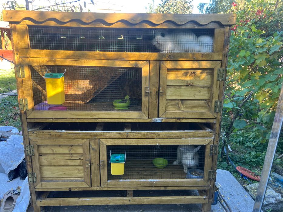 Cusca iepuri + iepuri cap de leu