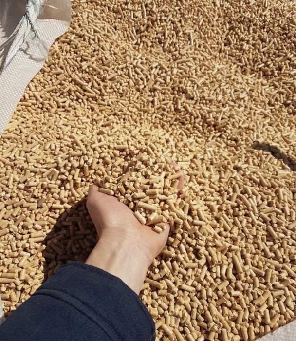 Producatori Peleti Albi Rasinoase calitate A1 Oferim Transport Oriunde