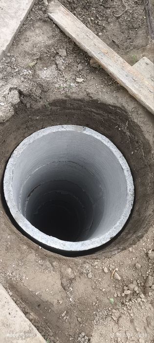 Kalodis bor xar xil turdagi