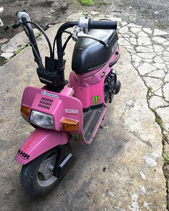 Honda Squash  50