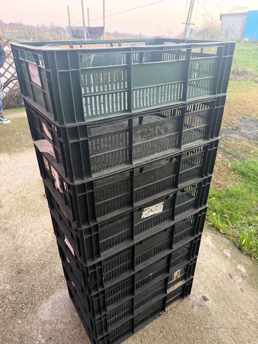 Lazi plastic de vanzare pentru transport fructe legume diverse