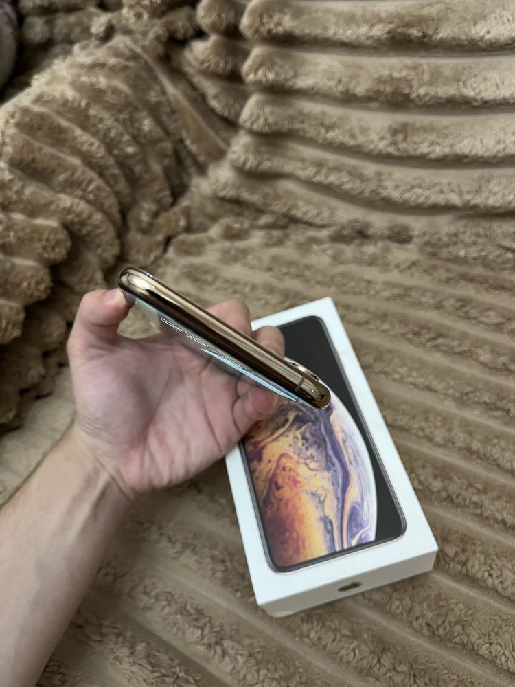 Iphone Xs Max 256gb 100%