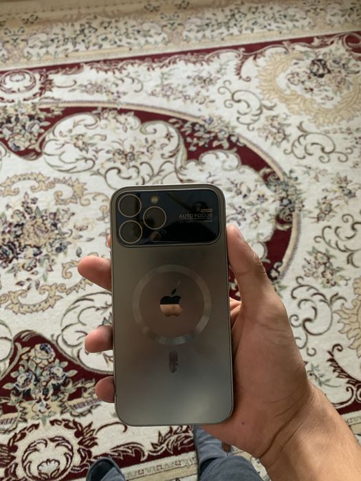 iPhone 13 Pro Max
