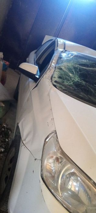 Нехиа 3 2019 йили