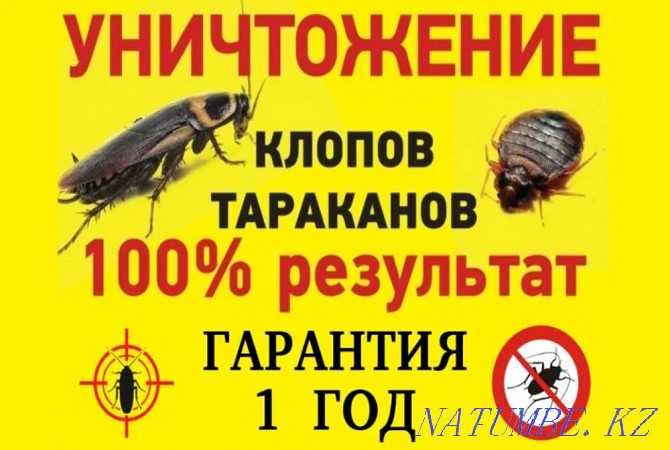 Уничтожение клопов и тараканов 100% гарантии