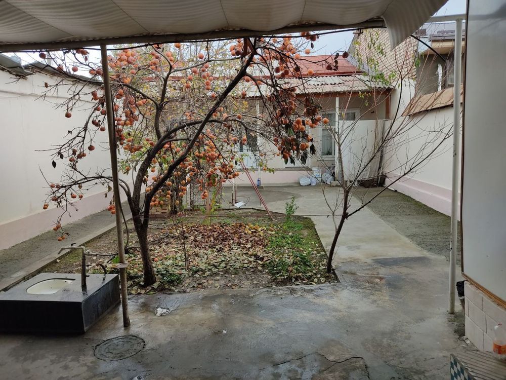 Сдается в аренду 5-комнатный участок на Бадамзаре 3.3 соток