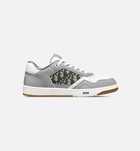 Dior B27 Low Top/ High Top