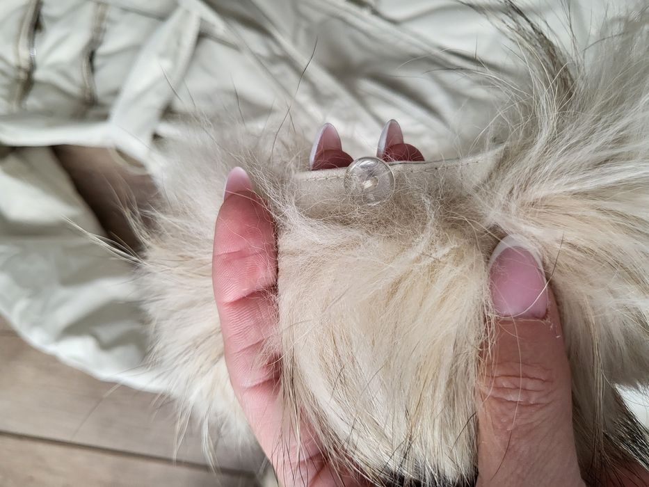 Biladini прекрасно яке в цвят шампанско 38 размер