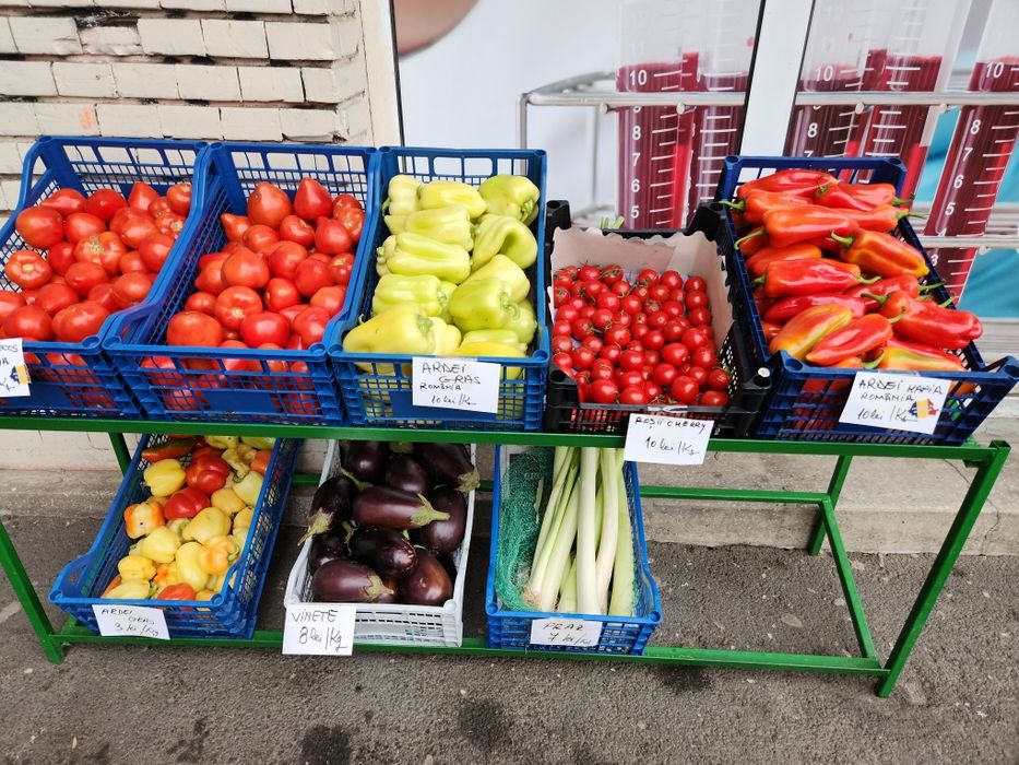 Rafruri profesionale magazin, cantar, stand paine.