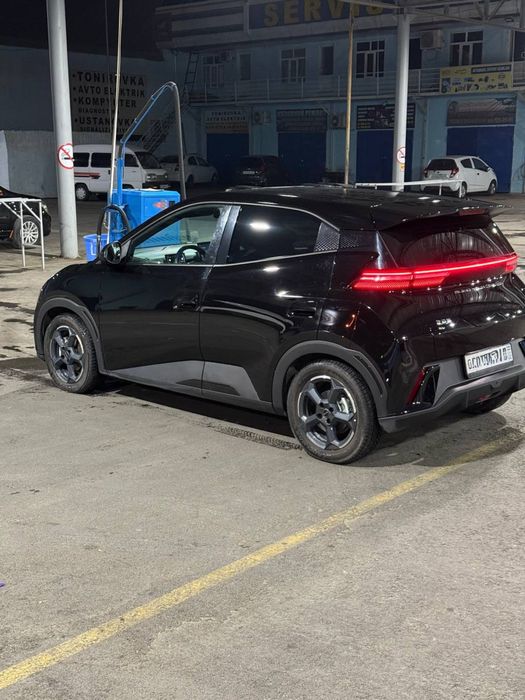 BYD seagull 405km full