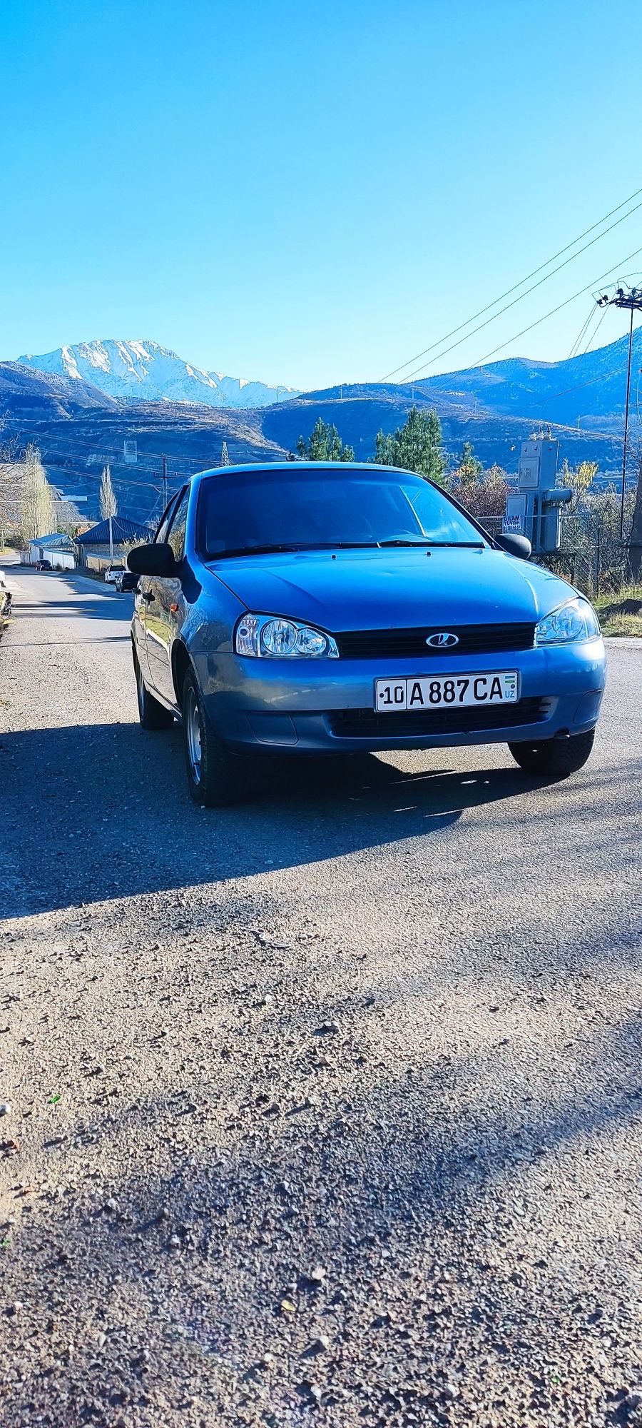 Lada kalina v xoroshom sostoyanie