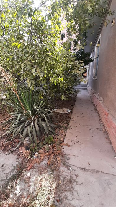 Срочно продаётся участок Бодомзор 3.3-соток 4-комнота