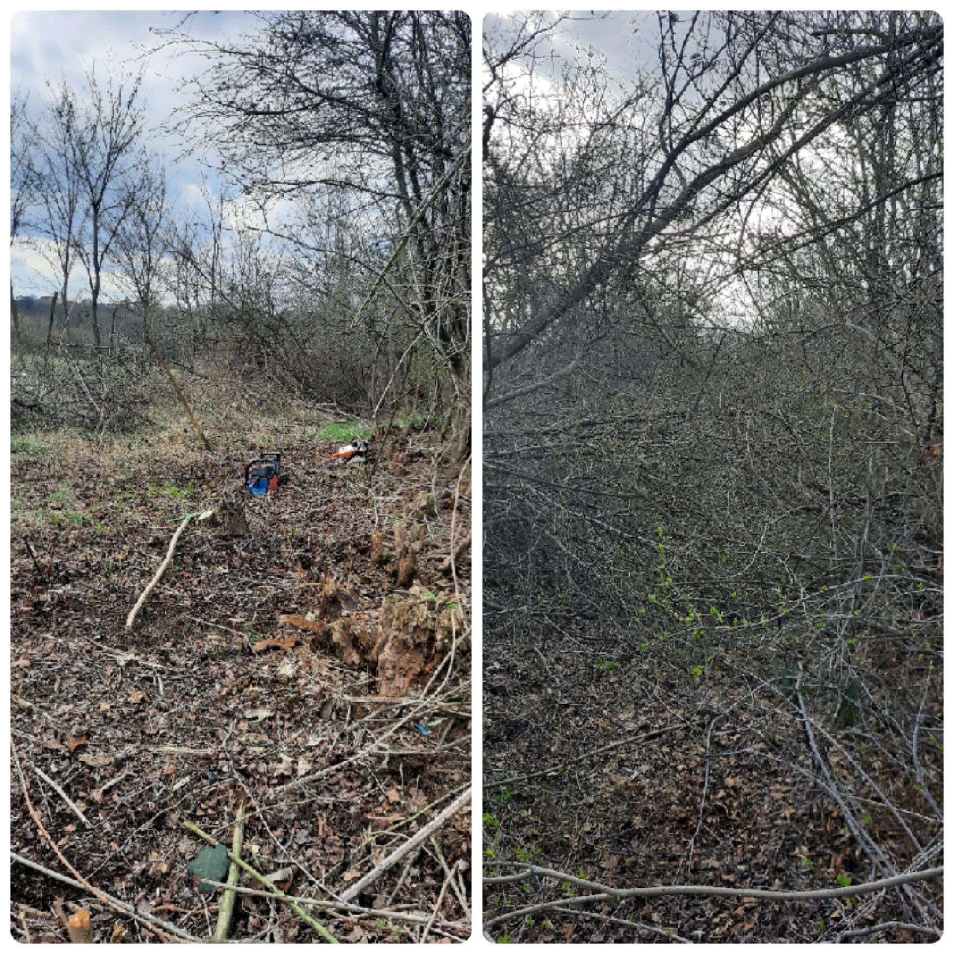 Defrisari_curatari terenuri , demolări , debarasari