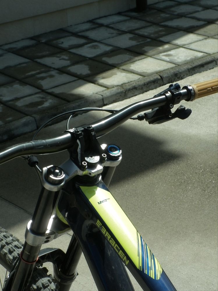 Saracen myst pro carbon 2021 размер L