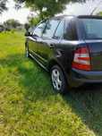 Schimb Skoda cu Lemne foc,Cereale