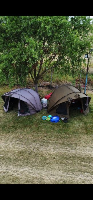 Cort Fox R series xl