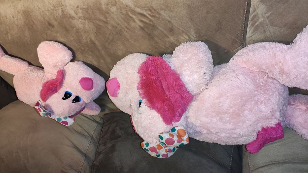 Понито само е налично