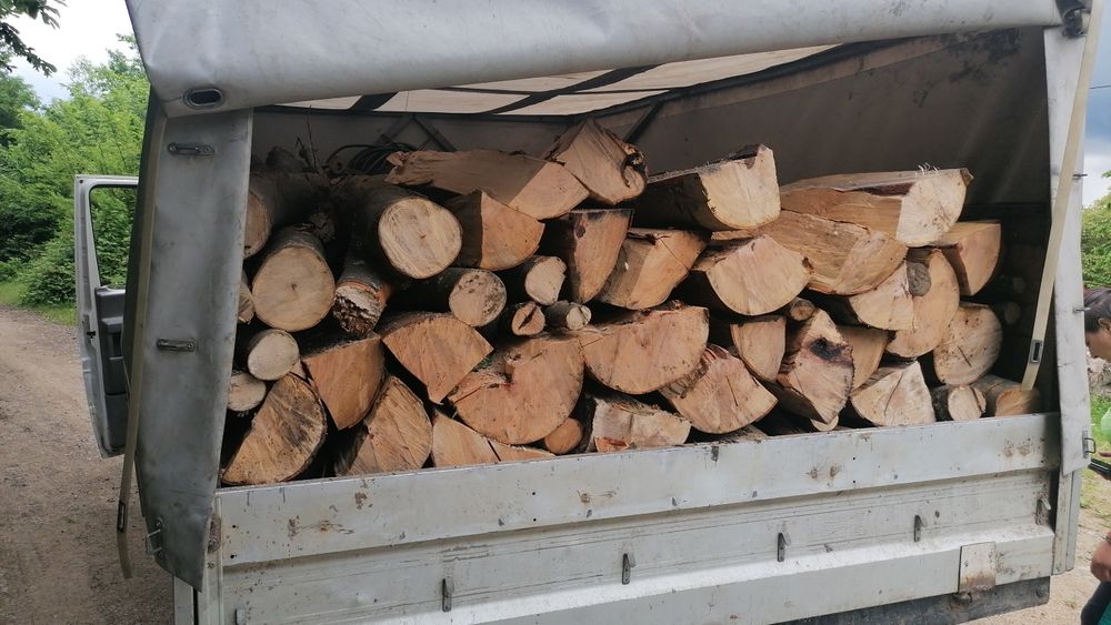Lemne fag  300lei mster