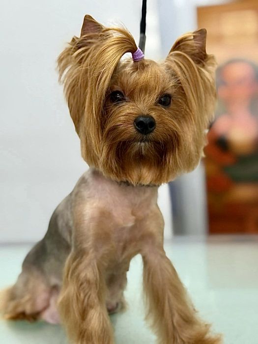 Момченце на 50 дни с ваксина и паспорт