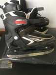 patine gheata….20 lei
