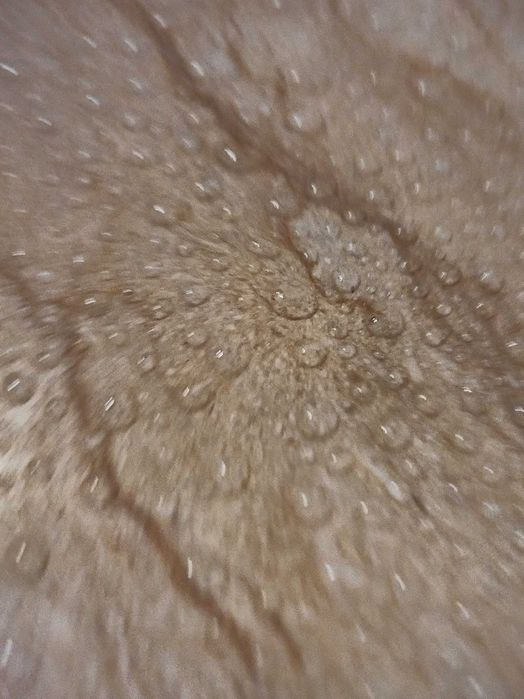 Oferim servicii de curățare piatra naturala,marmura,granit.