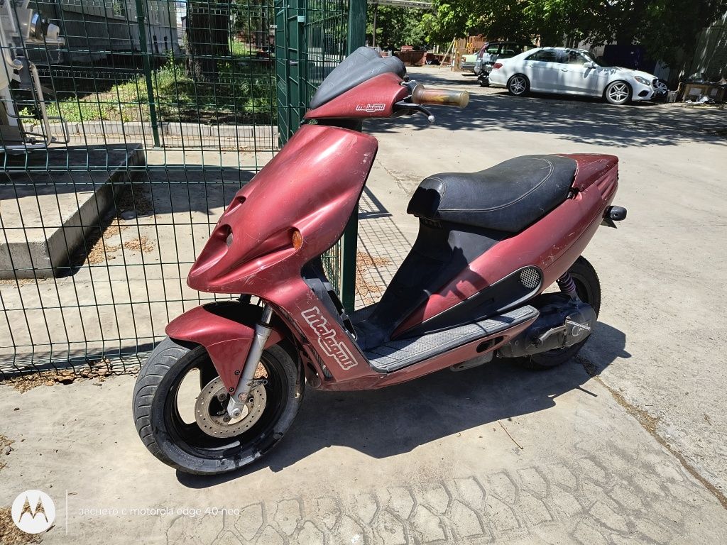 Malaguti     f12