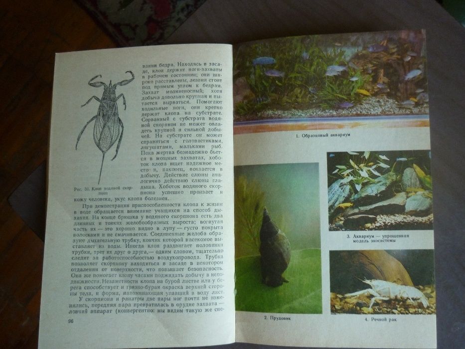 Продам книгу Аквариум в школе Набор открыток  Мир аквариума СССР