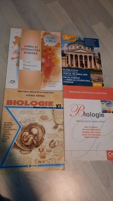 Manuale clasa a XI-a